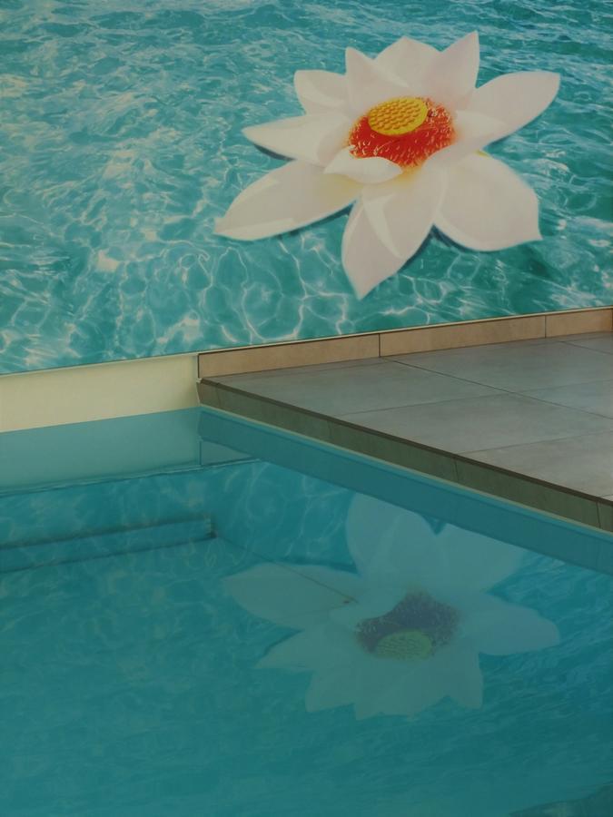 Vita Roka Met Extra Luxe Prive Wellness Ursel Exterior photo